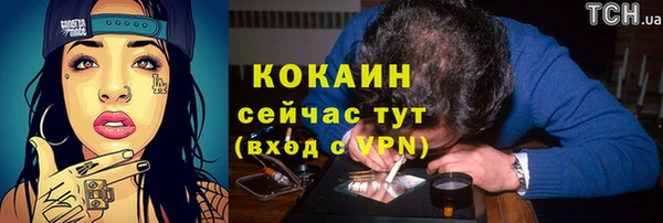 mix Инта