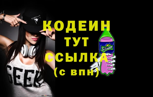 mix Инта
