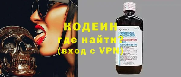mix Инта