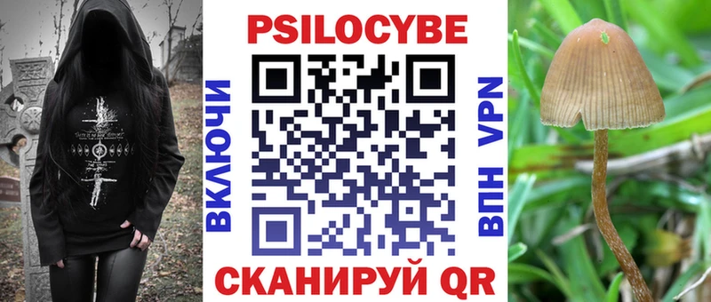 Купить где  Оренбург  Галлюциногенные грибы MAGIC MUSHROOMS 
